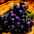 Grapes - Thomas Lindley Photography